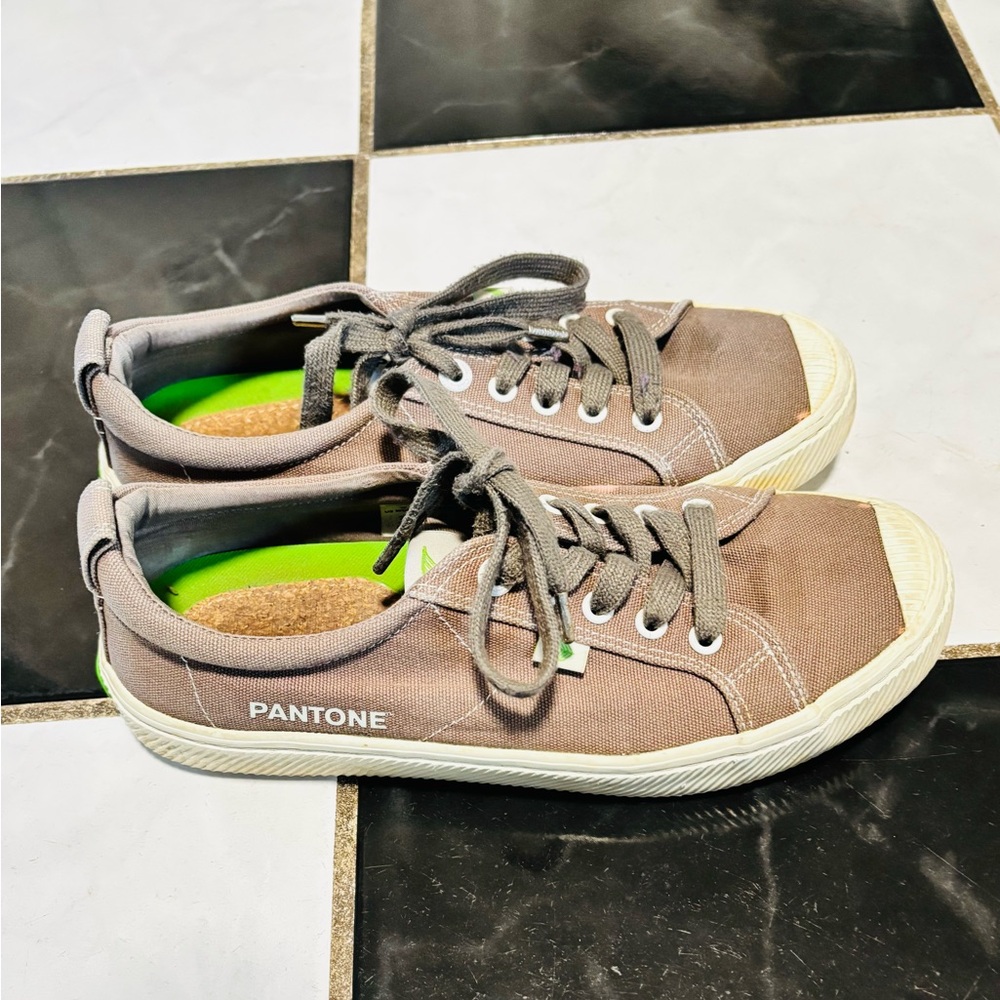 Pantone Women's Gray Canvas Sneakers